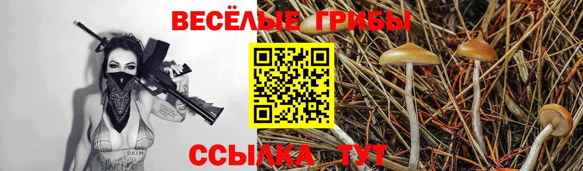Чернушка  Галлюциногенные грибы ЛСД  Вход с VPN 